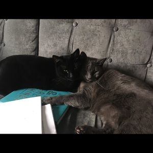 Meet your Posher, Dale